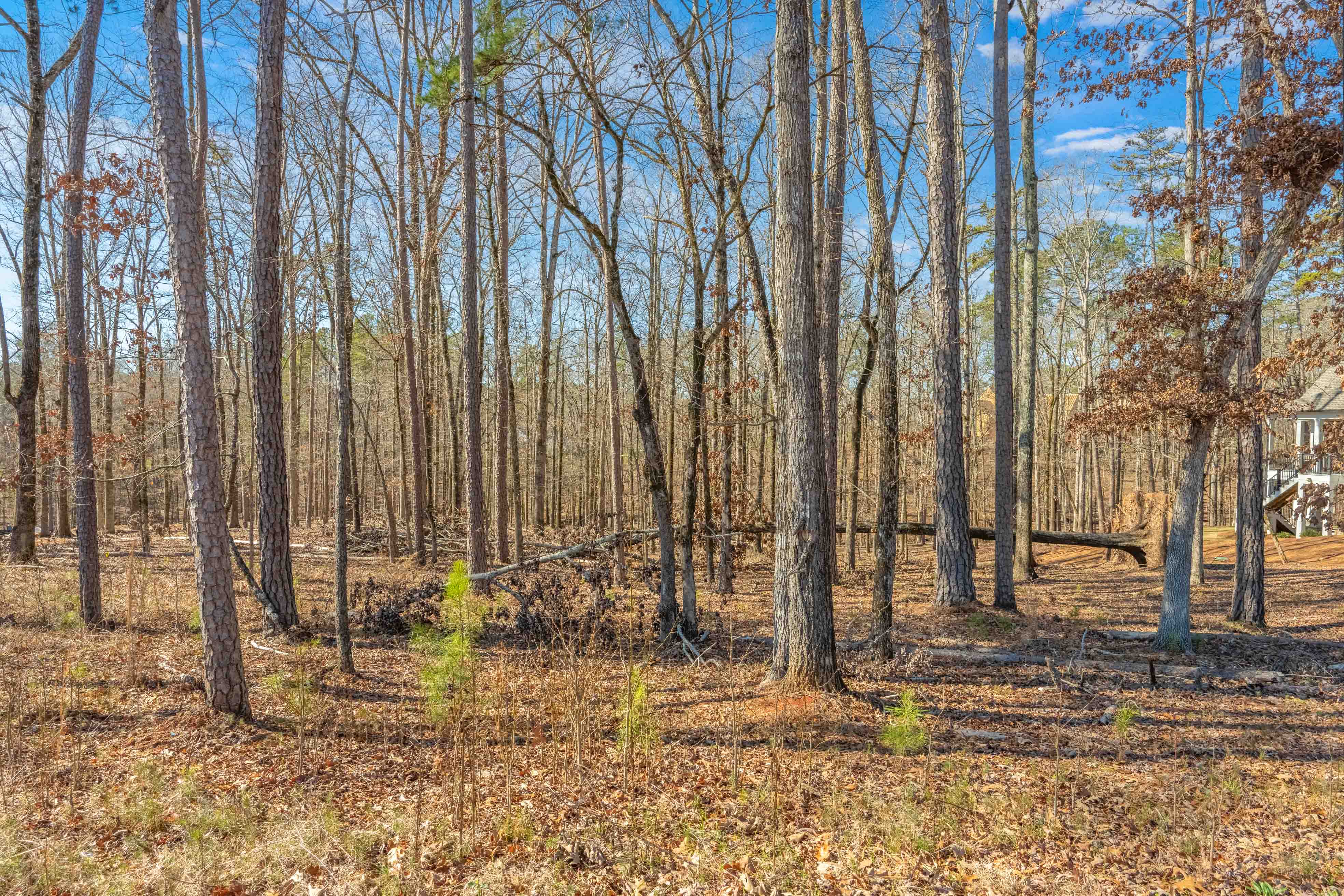 1091 High Bluff Lane Reynolds Lake Oconee